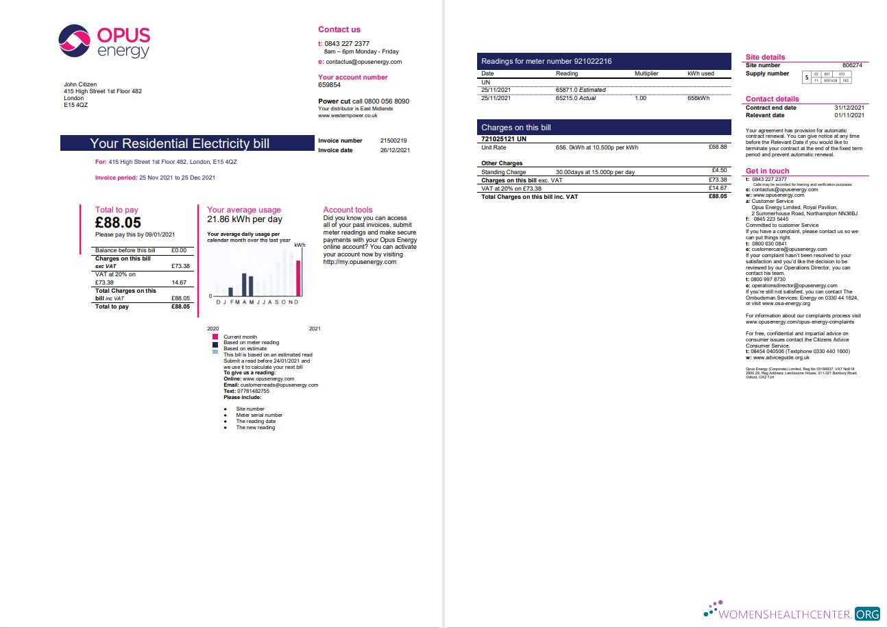 download United Kingdom Opus Energy electricity utility bill template in Word and PDF format (2 pages) PDF template